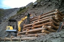 pelle araignée acropelle gabion